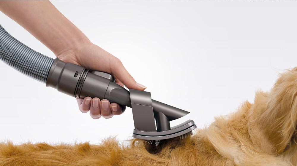 Dyson Groom tool